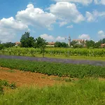 Piramida Kras
