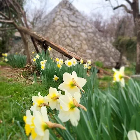 شقة Piramida Kras